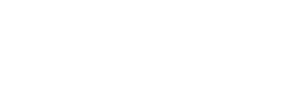 CPA, Chartered Professional Accountant